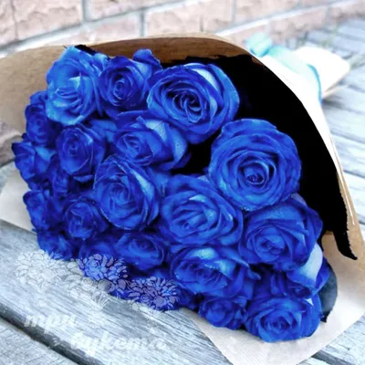 Купить Букет из 15 синих роз по цене 2 400грн. от студии цветов LaVanda