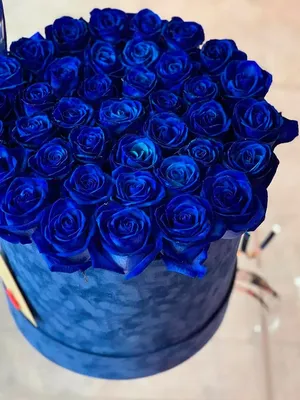 Бело-синие розы в коробке от 19 шт. за 6 590 руб. | Бесплатная доставка  цветов по Москве