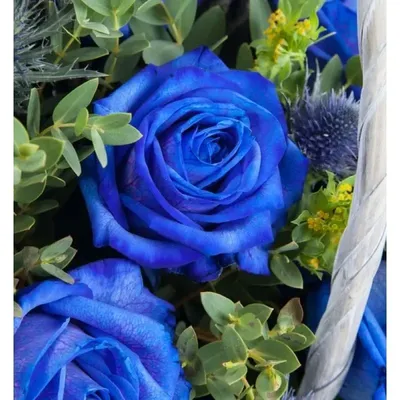 Синие розы - 15 шт. по ✓ выгодной цене 3950 рублей купить в Москве в  DeliveryRose | DeliveryRose