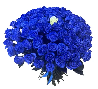 Синие розы — купить в Уфе | «Идея праздника»