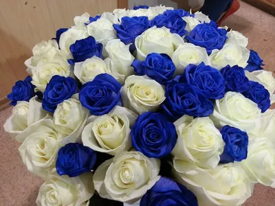 Букет из Голландских синих роз, сорт Vendela Blue | купить синие розы