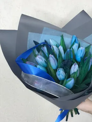 1️⃣ Синие тюльпаны – заказать с доставкой в Алматы от PRO-BUKET!