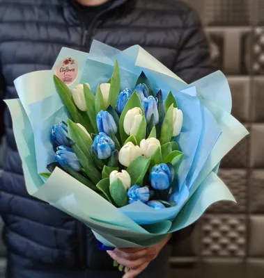 Купить синие тюльпаны в Нижнем Новгороде Тюльпаны 💙