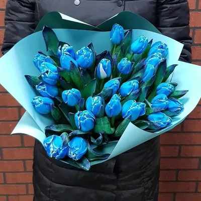 dinasoaphome - Синие тюльпаны - редкость! Букет в кадре... | Facebook