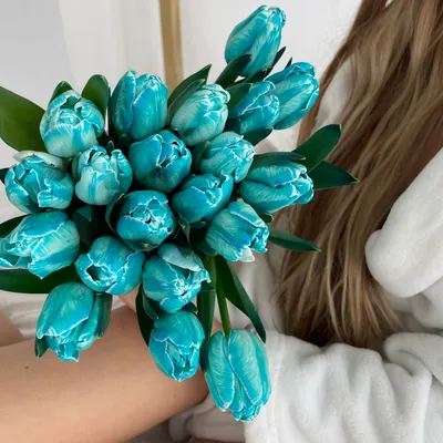 Купить Синие тюльпаны в оформлении «Vigi» в Нижнем Новгороде