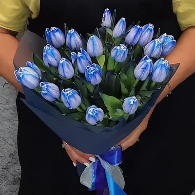 Тюльпан синий купить в Саратове, Энгельсе | Интернет-магазин Julia-Flower
