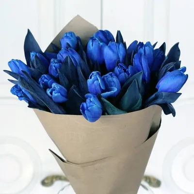 Синие тюльпаны | Купить недорого с доставкой по СПб - Newflora