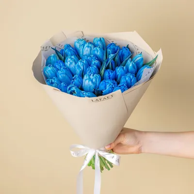 Голубые тюльпаны (41 фото) - 41 фото