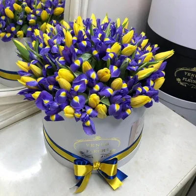 Синие тюльпаны - фото и картинки: 64 штук