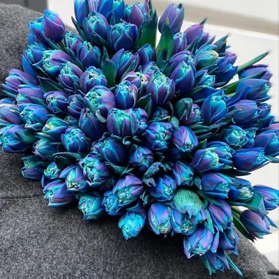 51 голубой тюльпан в букете за 18 190 руб. | Бесплатная доставка цветов по  Москве