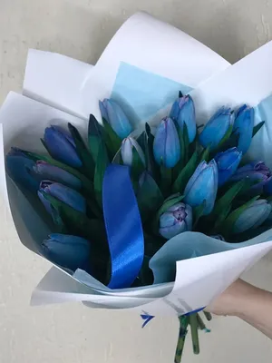 1️⃣ Синие тюльпаны – заказать с доставкой в Астана от PRO-BUKET!