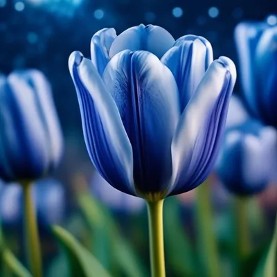 Синие тюльпаны, flowers art, bright …» — создано в Шедевруме