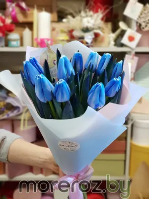 Купить Букет синих тюльпанов с доставкой по Минску • MoreRoz.By