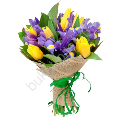 Красивые голубые тюльпаны под звё…» — создано в Шедевруме