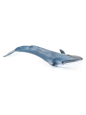 Книга Синий кит – купить в Москве, цены в интернет-магазинах на Мегамаркет