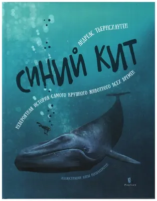 Синий кит\" или цензура – почему власти Казахстана хотят перенести серверы  соцсетей