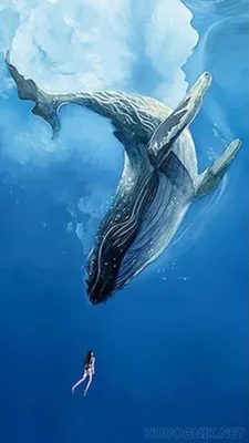 Здравствуй, синий кит! | Папмамбук