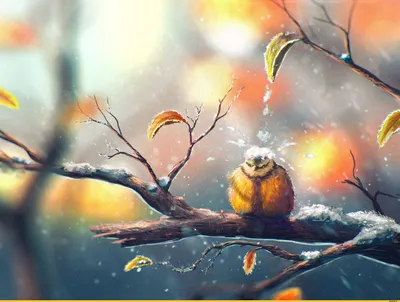 картинки : природа, филиал, снег, холодно, зима, цветок, Погода, Птицы,  Позвоночный, Синица, Птица-птица 4320x3240 - - 990164 - красивые картинки -  PxHere