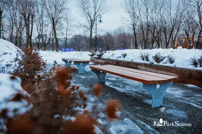 В Одессе зимой распускается сирень и летают божьи коровки | Новости Одессы