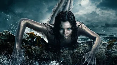 Sirena: Napoli, Donna Jo: 9780590383882: Amazon.com: Books
