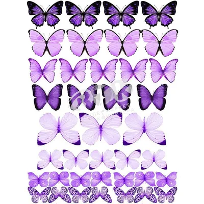 сиреневые бабочки | Butterfly cake topper, Butterfly background, Butterfly  wallpaper backgrounds
