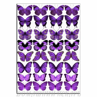 Арт. 5205 Вафельные бабочки ФИОЛЕТОВЫЕ купить