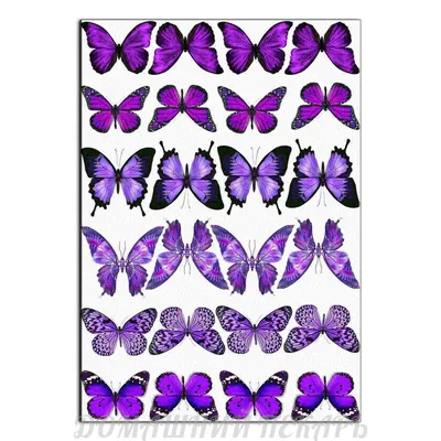 Сиреневые бабочки картинки - 80 фото