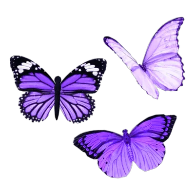 Сиреневая бабочка рисунок - 69 фото