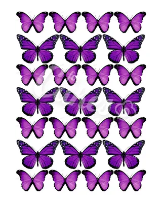 Вафельная картинка Бабочки фиолетовые на торт ВЕСЕЛЫЙ ПРЯНИК 164895449  купить за 235 ₽ в интернет-магазине Wildberries