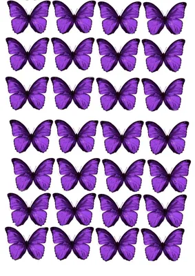 бабочки для букета фиолетовые | Шаблон бабочка, Бумажные бабочки, Подарки  для учителей