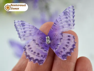 фиолетовые бабочки 3 вида - Eda126.ru