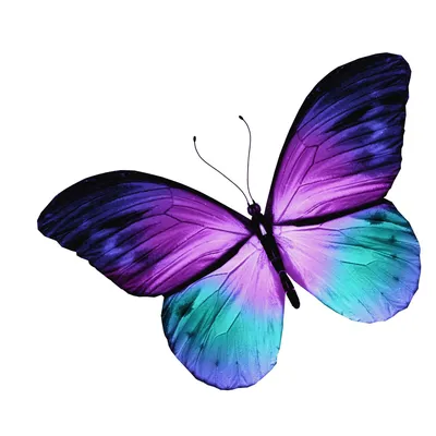 Сахарная картинка для торта \"Фиолетовые бабочки\". Украшение для торта и  декор для выпечки. — купить в интернет-магазине по низкой цене на Яндекс  Маркете