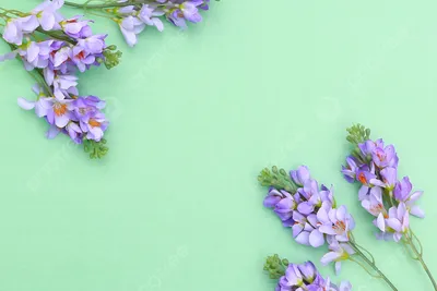 Розовые альстромерии, хризантемы и сиреневые статицы в ящике - купить с  доставкой в Омске - LAVANDA