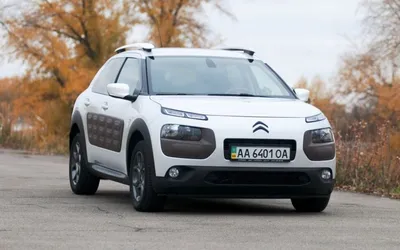 Citroen C4 Cactus: сесть на кактус