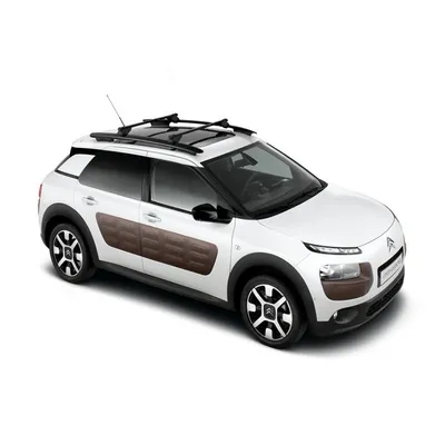 Future Classic: Citroën C4 Cactus | Hagerty UK