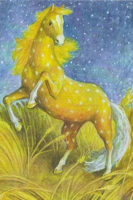 Сивка-бурка (3079). — купить книги на русском языке в Book City