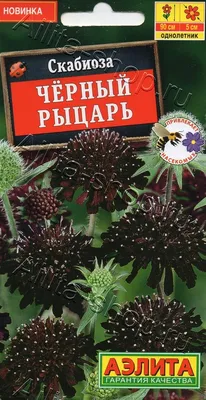 ✓ Семена Скабиоза Драмстик, 0,2г, Гавриш, Цветочная коллекция по цене 30  руб. ◈ Большой выбор ◈ Купить по всей России ✓ Интернет-магазин Гавриш ☎  8-495-902-77-18