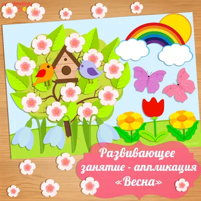Обои весенняя природа, цветение, весенние цветы, фото бабочки, цветущее  дерево. Скачать фото весна 1920x1080