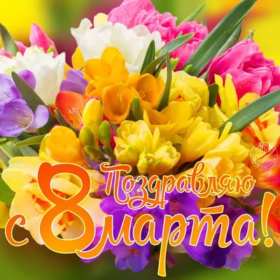 Скачать обои Цветы, Природа, Весна, Луг, Красота, Цветение, Крокусы, раздел  цветы в разрешении 4800x3200