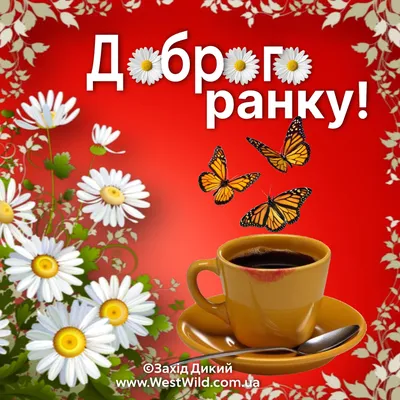 Побажання гарного дня в картинках, своїми словами, у віршах, в смс та  християнські побажання доброго дня — Укрaїнa