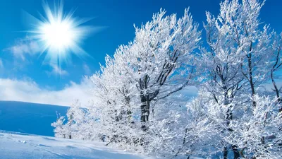 Обои Природа Зима, обои для рабочего стола, фотографии природа, зима, снег  Обои для рабочего стола, скачать обои картинки заставки на рабочий стол.
