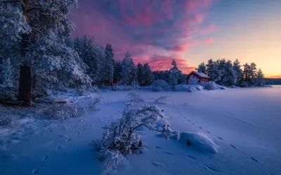 Скачать обои и картинки зима, поле, небо, деревья, солнце, снег, иней для  рабочего стола в разрешении 2560x1440