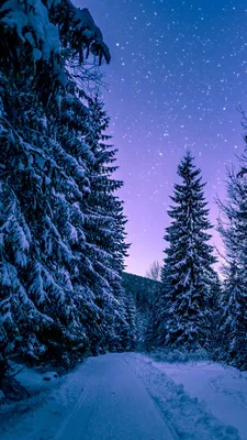 Картинки красивые зима снег зимний пейзаж (70 фото) » Картинки и статусы  про окружающий мир вокруг