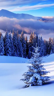 Рождество зима синие плавающие снежинки скачать бесплатно изображение_Фото  номер 611543549_PSD Формат изображения_ru.lovepik.com