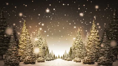 Обои норвегия, зима, лес, снег, деревья картинки на рабочий стол, фото  скачать бесплатно