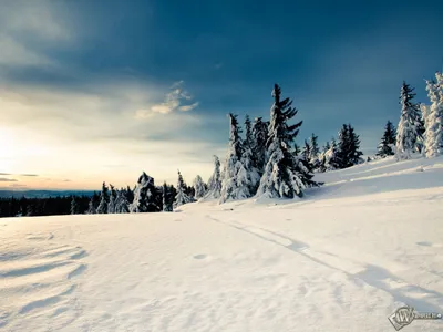 Скачати картинки зима безкоштовно » Прикольные картинки: скачать бесплатно  на рабочий стол