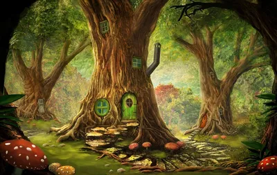 Сказочный лес картинки фотографии