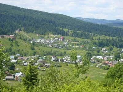 Отдых в Сходнице с детьми зимой. Зимний отдых в Карпатах | СПА-Отель  \"Респект Карпаты\"