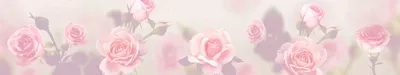 Виниловый кухонный фартук Цветы в фокусе (наклейка для кухни ПВХ пленка  скинали) розы ромашки Бежевый 600*2500 мм – фото, отзывы, характеристики в  интернет-магазине ROZETKA от продавца: FOUKS | Купить в Украине: Киеве,