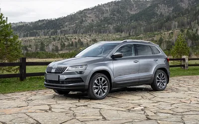 Купить Для Skoda Karoq 2 шт./лот салон автомобиля центральный контроль ящик  для хранения крышка украшения | Joom